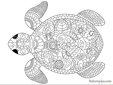 Мандала с рыбками