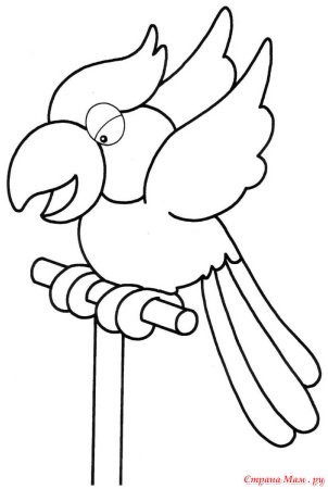 Попугай раскраска для детей