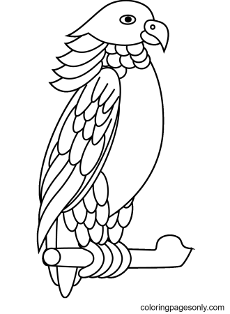 Раскраски животные попугаи