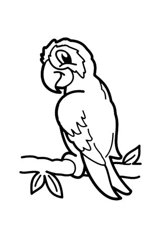 Попугай трафарет для детей