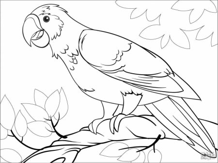 Трафарет попугая для рисования