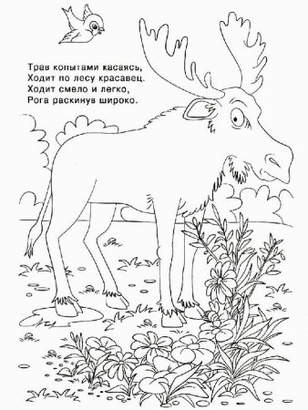 Загадки с рисунками