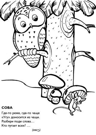 Книжка малышка раскраска