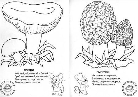 Лесные животные задания для детей