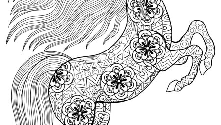 Зендудлы единорога