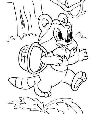 Крошка енот раскраска для детей