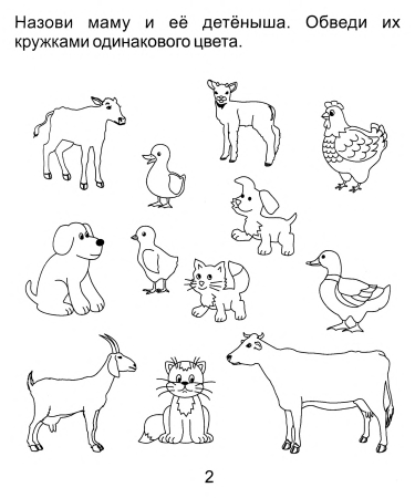 Развивающие задания для дошкольников