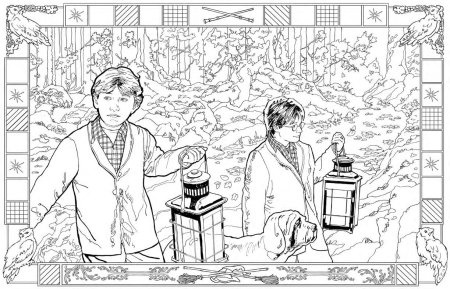 Раскраска антистресс Гарри Поттер