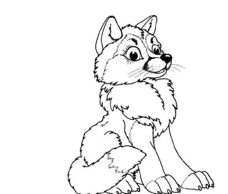 Раскраска звери