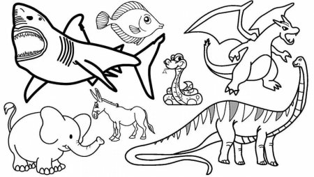 Раскраски животных