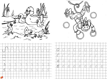 Раскраски прописи обводилки