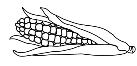 Кукуруза эскиз