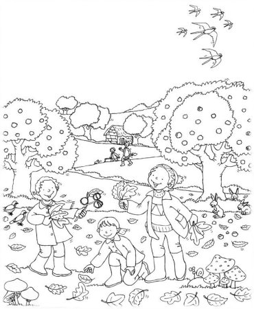 Раскраска осень для детей 6-7 лет