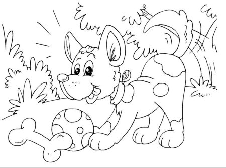 Раскраски. Животные