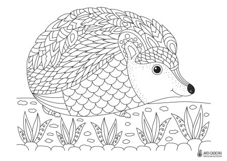 Раскраски антистресс для детей