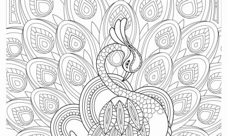 Трудные раскраска