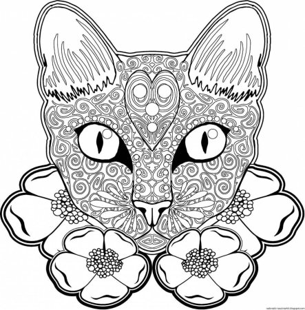 Раскраска антистресс котики