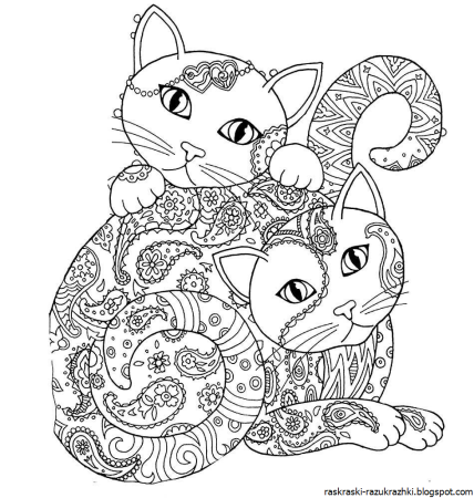 Раскраска кот