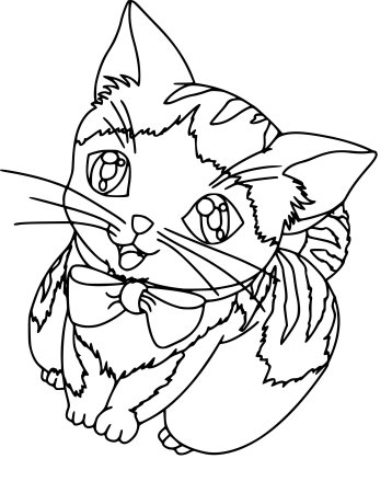 Раскраска. Котики