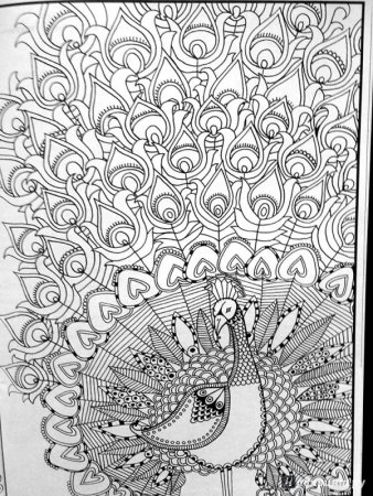 Раскраски для девочек 8 лет сложные