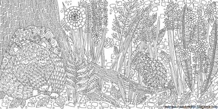 Раскраски сложные