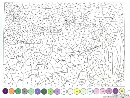Раскраска по номерам