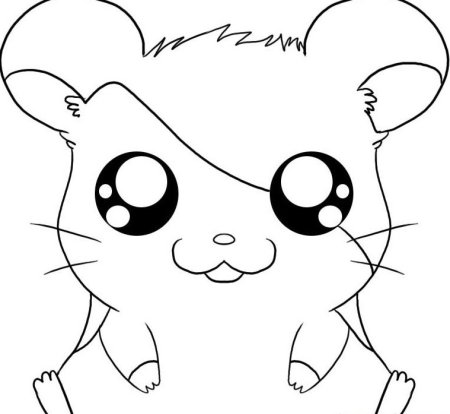 Раскраска милый хомячок