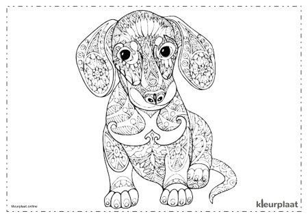 Раскраска собачка