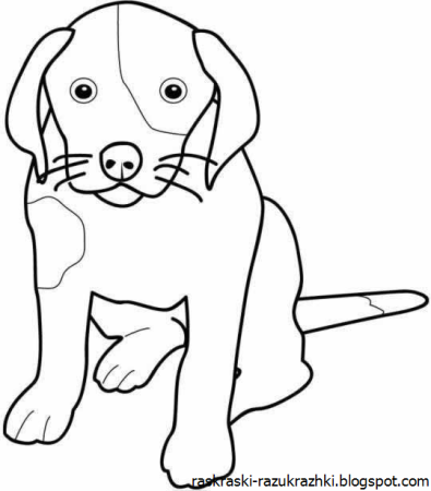 Раскраска милые собачки гриффон