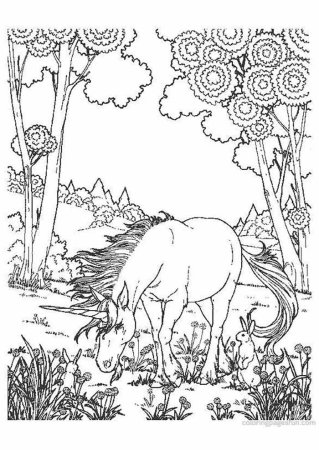 Раскраска природа