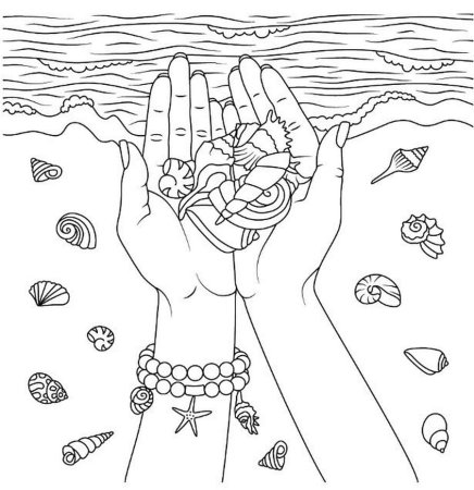 Море ракушки раскраска