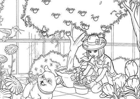 Раскраска "сад-огород"