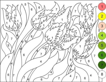 Раскраска по номерам