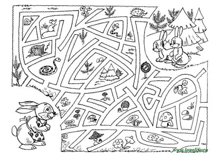 Лабиринт по лесу задание для дошкольников