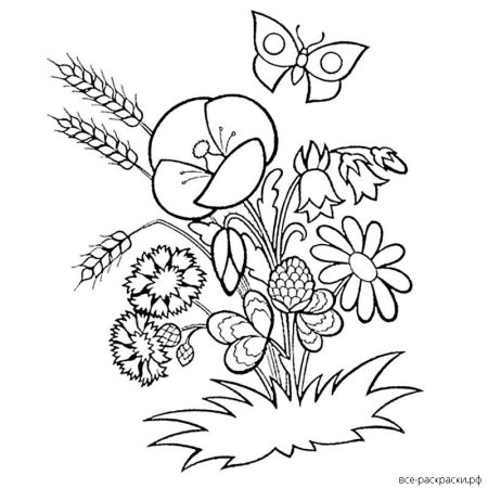 Раскраски лето легкие