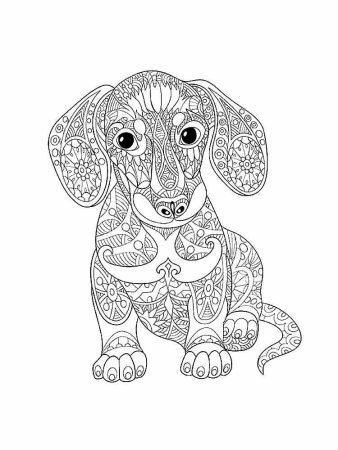 Раскраска Дисней леди и Бродяга