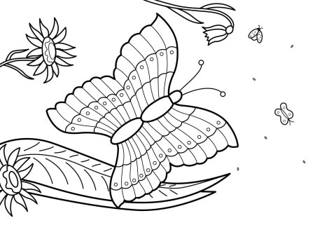 Раскраска. Лето