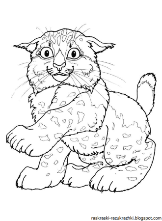 Раскраска рысенок