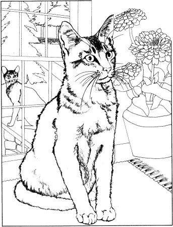 Кошка раскраска красивая
