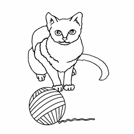 Кошка с мячом раскраска
