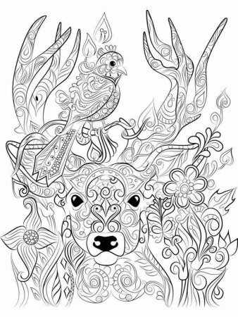 Раскраска антистресс