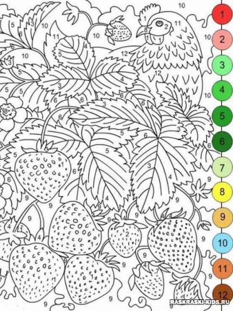 Раскраски по номерам сложные