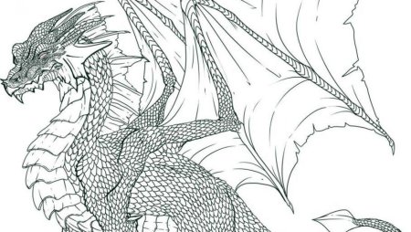 Дракон раскраска реалистичный
