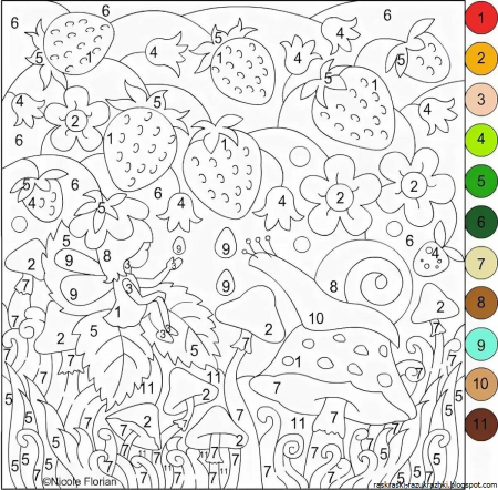 Раскраски по на ме ра м