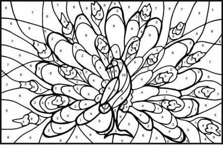 Раскраска по номерам Павлин