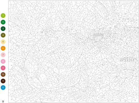 Раскраски по номерам сложные