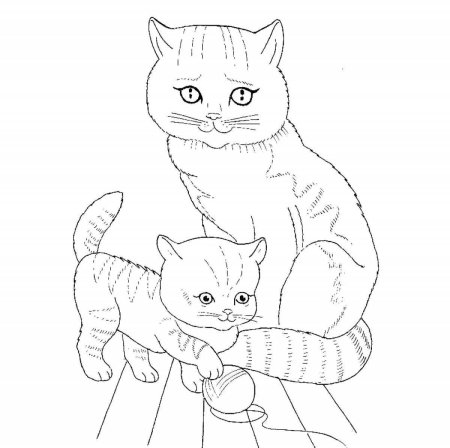 Кошки. Раскраска