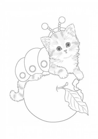 Раскраска кошка сложная