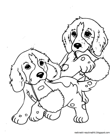 Щенок. Раскраска