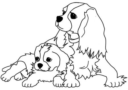 Собака раскраска для детей